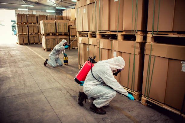 Best Affordable Pest Control Services  in Sunset, LA