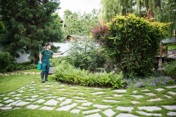 Best Wasp Removal Services  in Sunset, LA