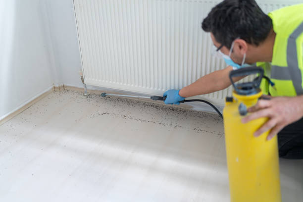 Best Best Pest Control Companies  in Sunset, LA